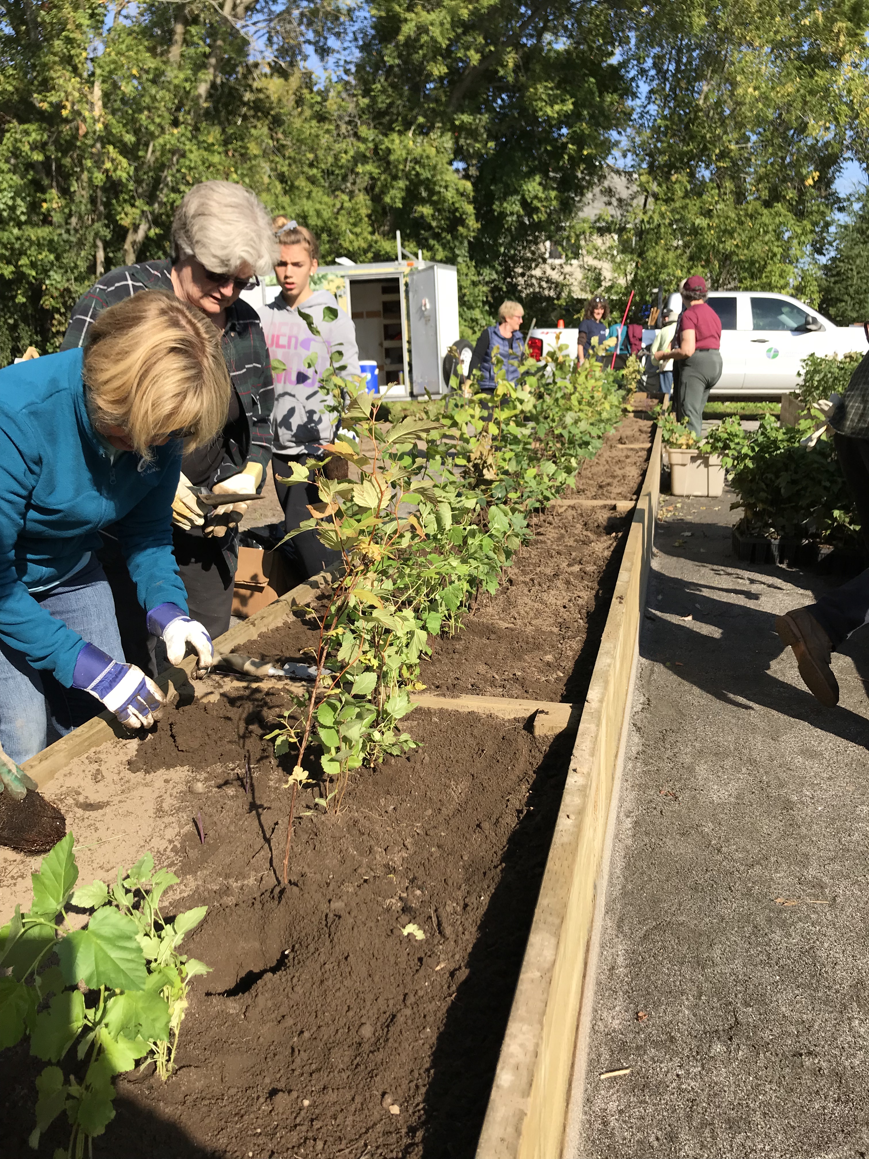 Tree Nurseries & Plantings NBMCA