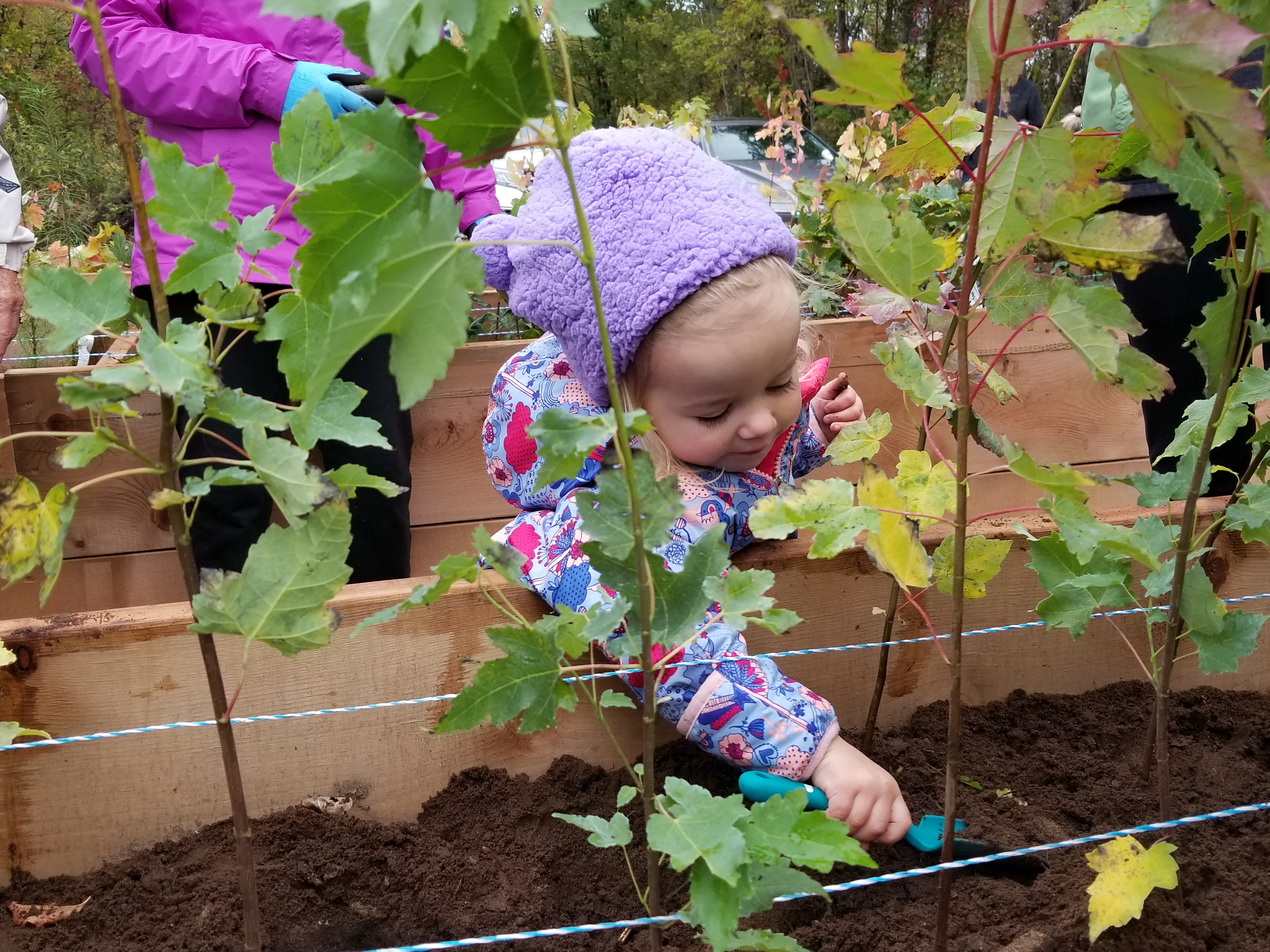 child planting trees
